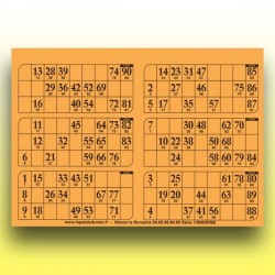 166 plaques de 6 cartons de loto très épaisses 2 mm - 1300 g (90 numéros) au Palais du Loto