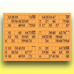 166 grandes plaques de 6 cartons de loto très épaisses 2 mm - 1300 g (90 numéros) au Palais du Loto