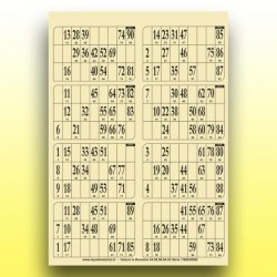 125 plaques de 8 cartons de loto très épaisses 2 mm - 1300 g (numérotation aléatoire)