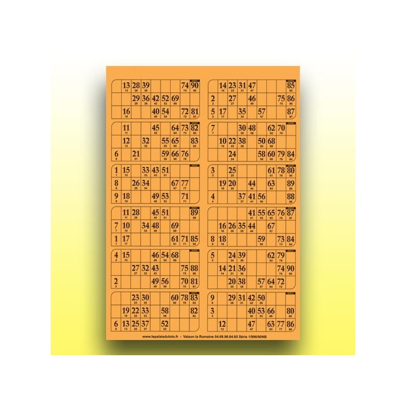 83 plaques de 12 cartons de loto très épaisses 2 mm - 1300 g (2 x 90 numéros) au Palais du Loto