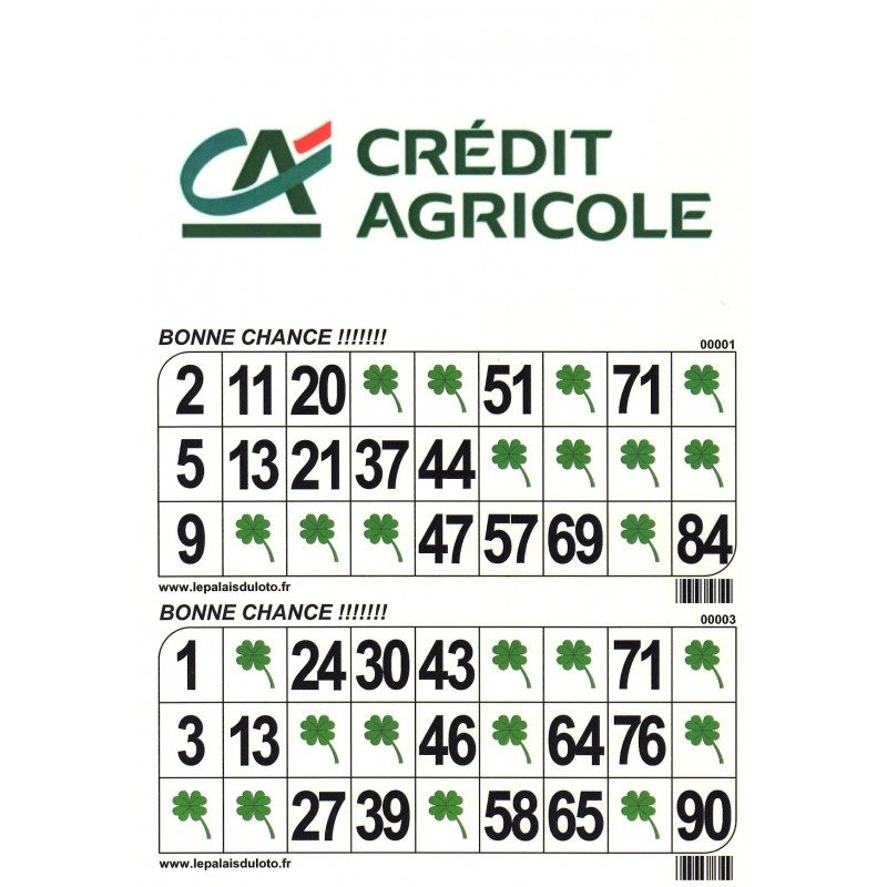 500 plaques de 2 cartons de loto Mega Pub 250 g