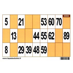 100 très grands cartons de loto Bristol avec cases en couleur 250 g, spécial seniors