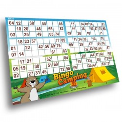 P'ti Bingo, partie spéciale à 90 numéros.