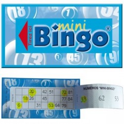 500 tickets Mini-Bingo - Palais du Loto.