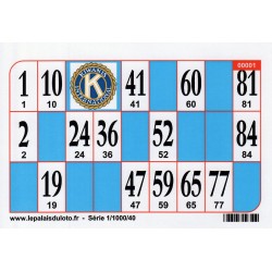 1000 Cartons de loto Bristol 250 g couleur - vert : au Palais du Loto