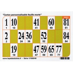 1000 Cartons de loto Bristol 250 g couleur - vert : au Palais du Loto