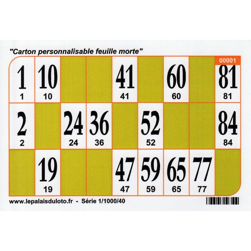 1000 Cartons de loto Bristol 250 g couleur - vert : au Palais du Loto