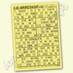La spéciale x 12 avec les 2 fois les 90 numéros, sur fond bleu - Palais du Loto.