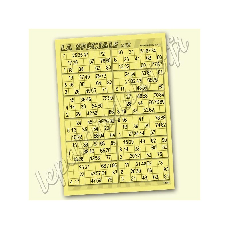 La spéciale x 12 avec les 2 fois les 90 numéros, sur fond bleu - Palais du Loto.