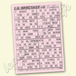 La spéciale x 12 avec les 2 fois les 90 numéros, sur fond bleu - Palais du Loto.