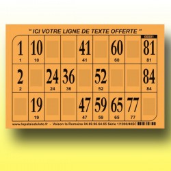 1000 cartons de loto Bristol 250 gr : panaché de couleurs