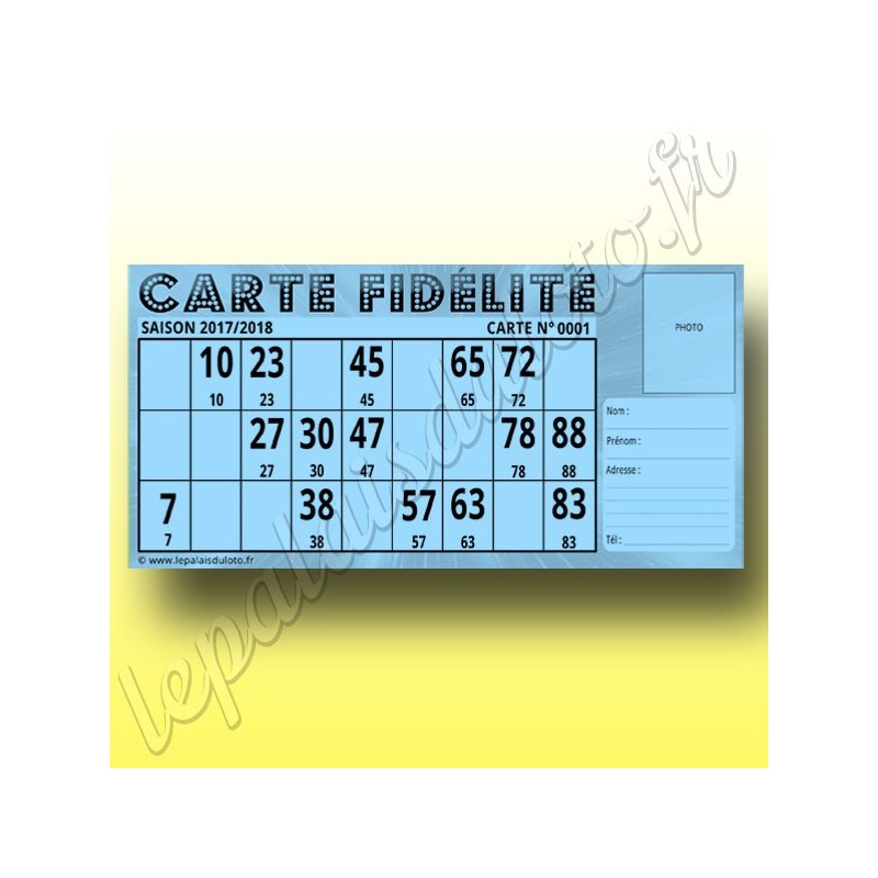 100 Cartes Fidélité loto Bristol 250 g : Au Palais du Loto