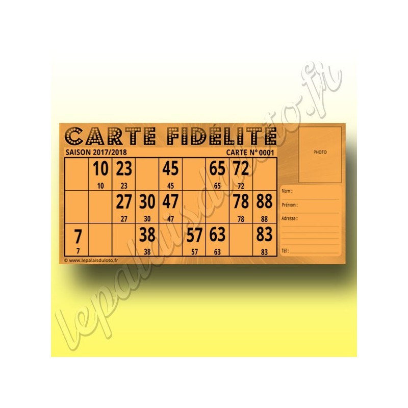 100 Cartes Fidélité loto Bristol 250 g : Au Palais du Loto