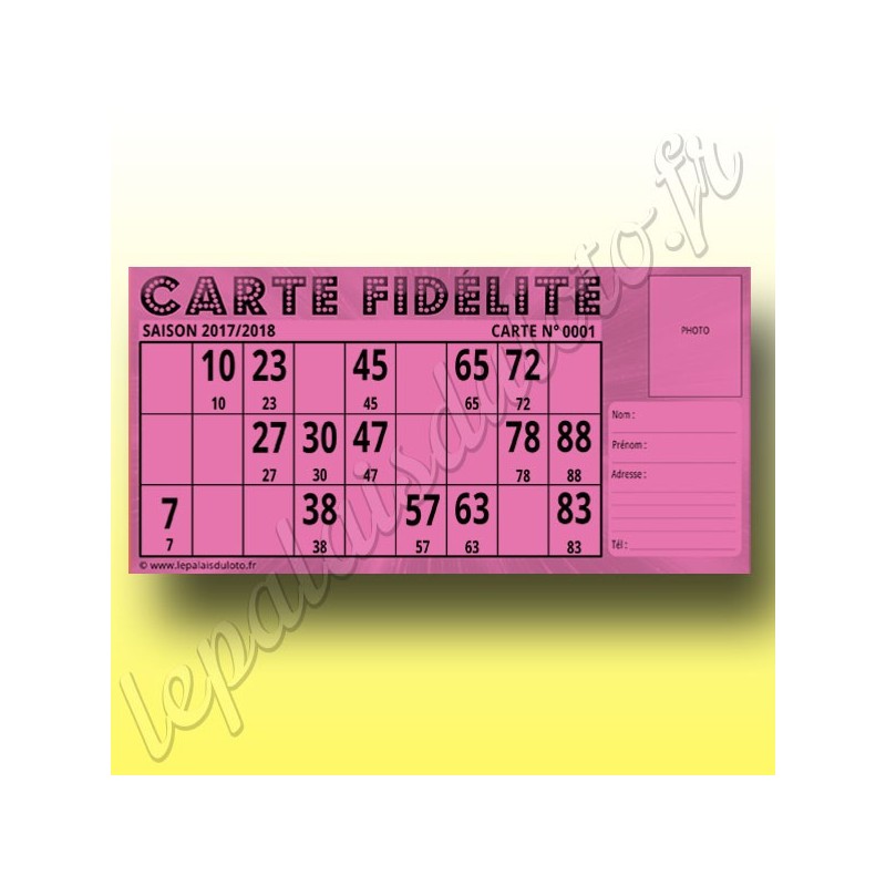 100 Cartes Fidélité loto Bristol 250 g : Au Palais du Loto
